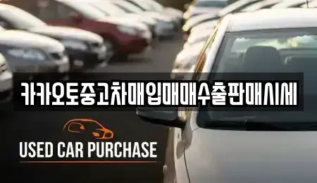서울 중구 충무로3가 중고차매입 전문 카카오토중고차매입매매수출판매시세