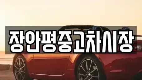 서울특별시 영등포구 영등포동1가 중고차매매 전문 장안평중고차시장