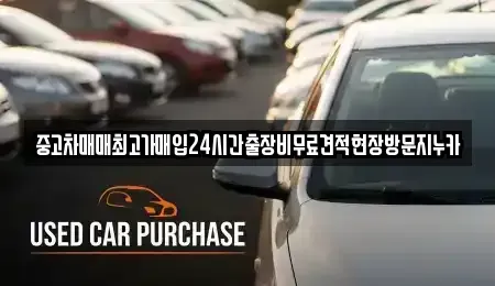 서울특별시 영등포구 영등포동1가 중고차매입 전문 중고차매매최고가매입24시간출장비무료견적현장방문지누카