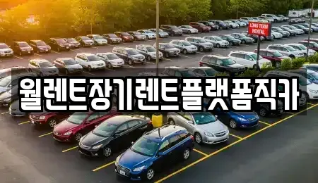 서울특별시 종로구 가회동 장기렌트카 전문 월렌트장기렌트플랫폼직카