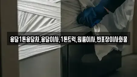 용달1톤용달차,용달이사,1톤트럭,원룸이사,반포장이사화물