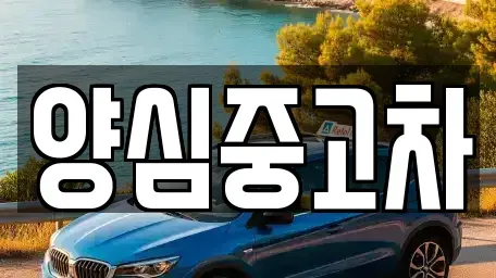 인천 계양구 용종동 중고차 전문 양심중고차