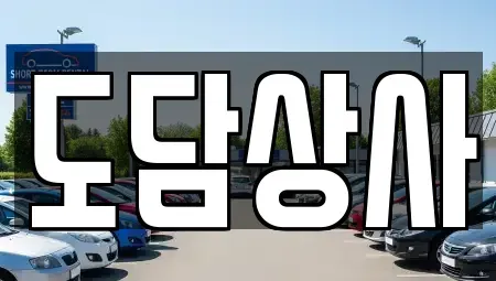 인천광역시 계양구 평동 중고차매매 전문 도담상사