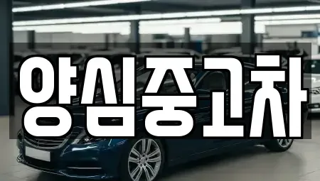 인천광역시 계양구 평동 중고차매매 전문 양심중고차