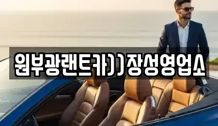 전남 장성군 북하면 렌트카 전문 원부광랜트카))장성영업소