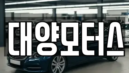 전남 장성군 북하면 중고차매매 전문 대양모터스