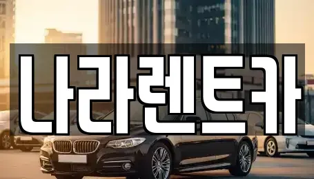 전남 함평군 대동면 렌트카 전문 나라렌트카