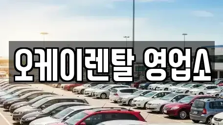 전남 함평군 대동면 렌트카 전문 오케이렌탈 영업소