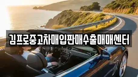 전남 함평군 대동면 중고차 전문 김프로중고차매입판매수출매매센터