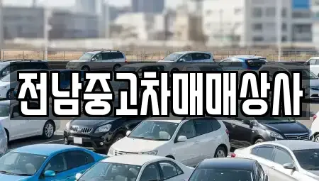 전남 함평군 대동면 중고차,렌트카,중고차매입,중고차매매,장기렌트카,단기렌트카