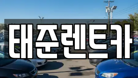 전라남도 나주시 빛가람동 렌트카 전문 태준렌트카