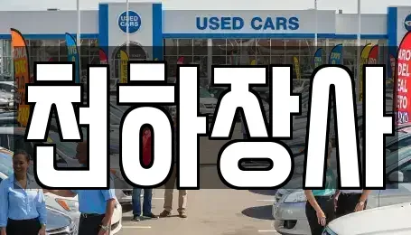 전라남도 담양군 담양읍 중고차 전문 천하장사