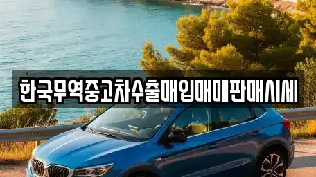 전라남도 담양군 담양읍 중고차매입 전문 한국무역중고차수출매입매매판매시세