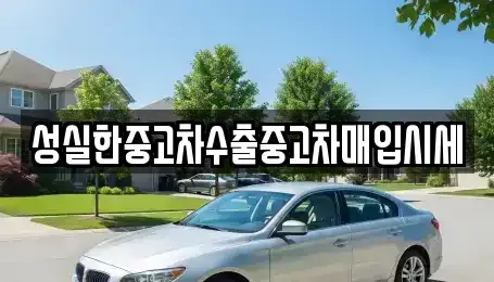 전라남도 장성군 남면 중고차매입 전문 성실한중고차수출중고차매입시세