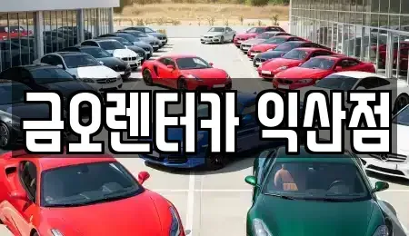 전북 익산시 남중동 렌트카 전문 금오렌터카 익산점