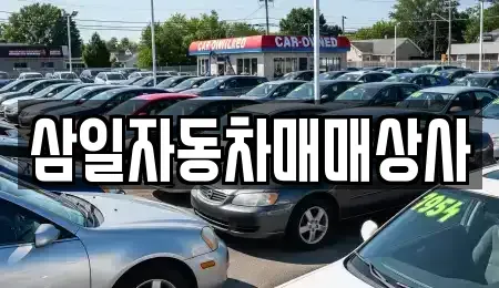 제주특별자치도 서귀포시 중문동 중고차매매 전문 삼일자동차매매상사