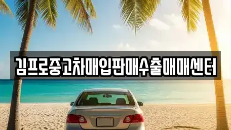 충남 금산군 군북면 중고차매입 전문 김프로중고차매입판매수출매매센터