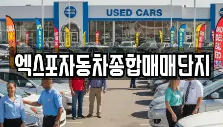 충북 청주시 청원구 정상동 중고차매매 전문 엑스포자동차종합매매단지
