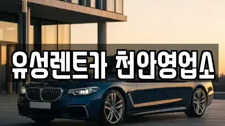 충청남도 천안시 서북구 신당동 렌트카,단기렌트카,장기렌트카,중고차,중고차매매,중고차매입