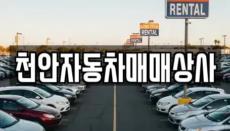 충청남도 천안시 서북구 신당동 중고차 전문 천안자동차매매상사