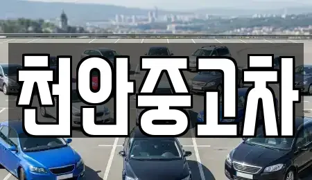 충청남도 천안시 서북구 신당동 중고차 전문 천안중고차