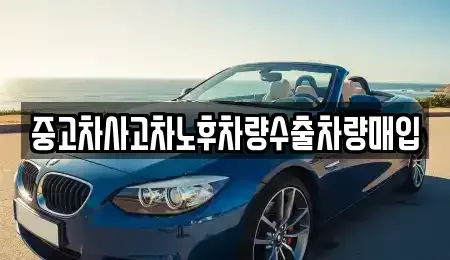 충청남도 천안시 서북구 신당동 중고차매입 전문 중고차사고차노후차량수출차량매입