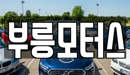 충청북도 청주시 상당구 월오동 중고차매입 전문 부릉모터스