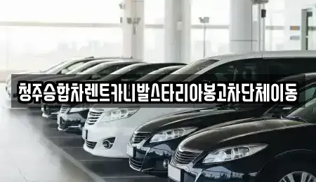 충청북도 청주시 상당구 평촌동 렌트카 전문 청주승합차렌트카니발스타리아봉고차단체이동
